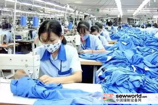 原料價格上漲背景下服裝企業(yè)雙11應對策略